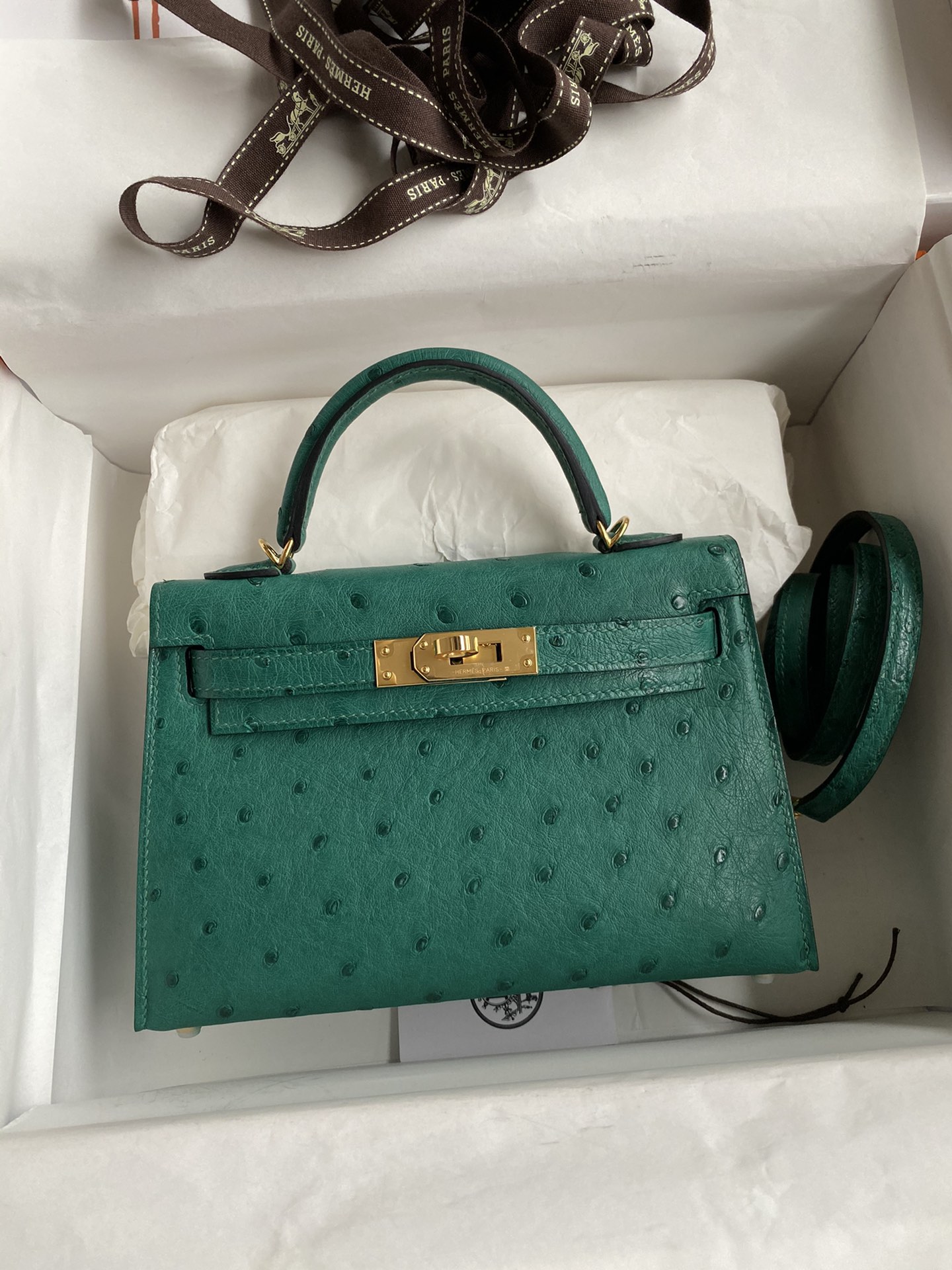 Hermes Kelly Mini II Bag 19CM In Vert Vertigo Ostrich Leather